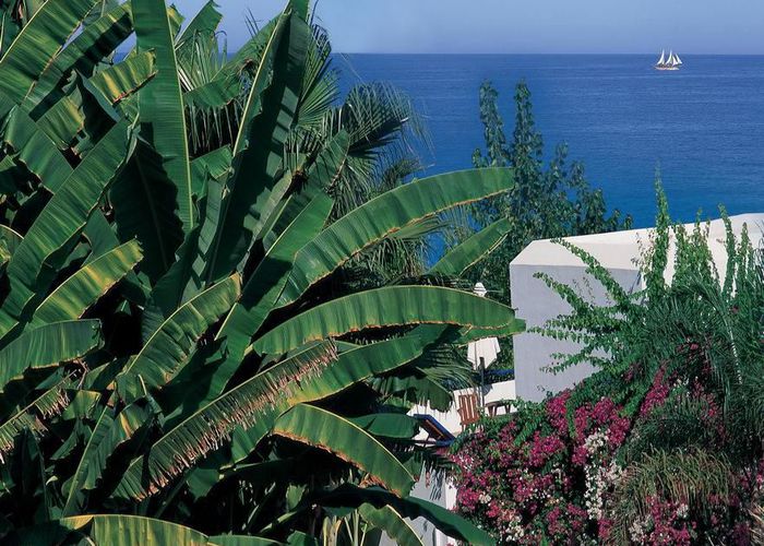 Какой курорт Кипра выбрать для отдыха с детьми
